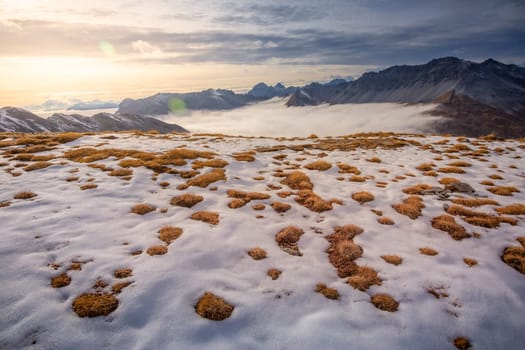 Stelvio pass, mountain dramatic landscape at dawn above mist, Northern Italy