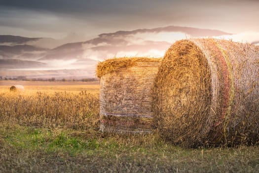 Autumn rolling golden landscape, hay bales in Balkans of Bulgaria, Eastern Europe