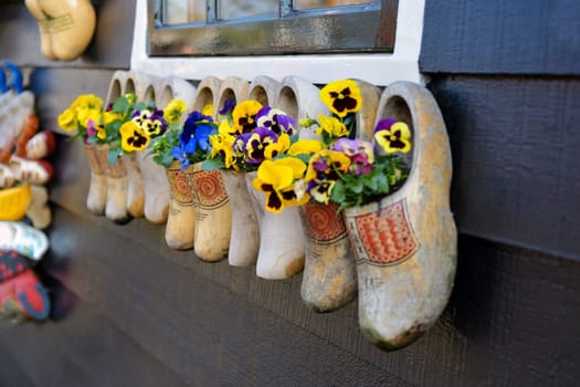 Dutch wooden clogs with flowers inside
