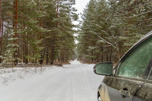 a car on a snowy road in a winter forest. photo