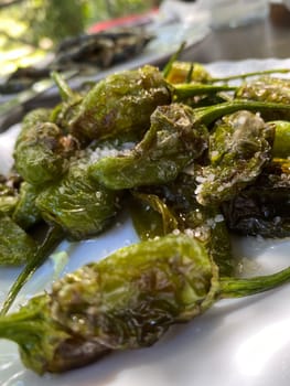 Close up of fresh made Traditional Spanish padron peppers pimientos de padron in Galicia , Spain.