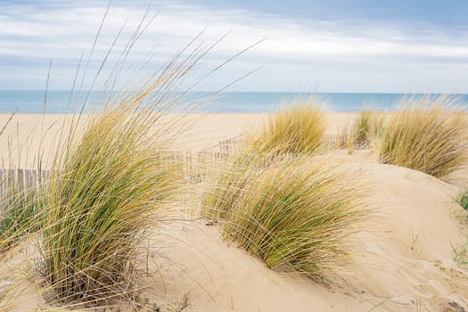 View of the deserted beach and the endless sea on a cloudy day.