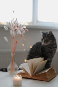 Still life details, candle a funny cat on a table in living room. Cozy home atmosphere. Lazy winter weekend