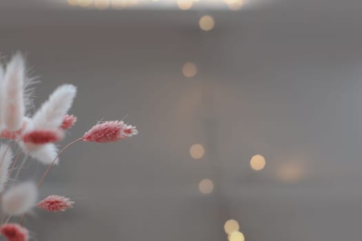 Dry flowers plant floral branch on soft pastel background. Blurred selective focus. Pattern with neutral natural colors