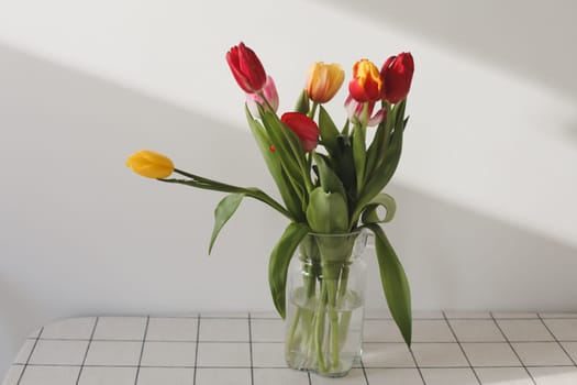 Colorful fresh tulips on a white background. Valentines Day, March 8, spring background