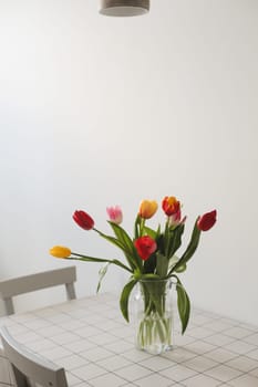 Colorful fresh tulips on a white background. Valentines Day, March 8, spring background