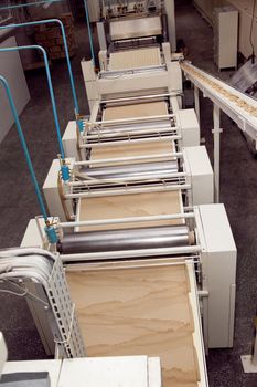 machine for making cookies in the factory. Conveyor belt with Cookie dough.