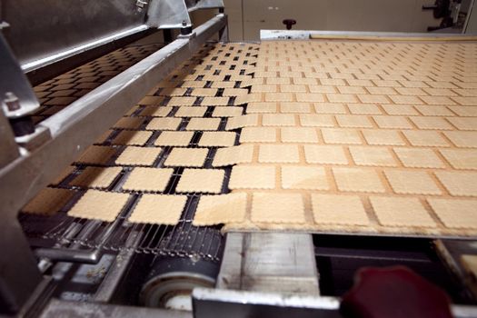 cookie making machine in the factory.