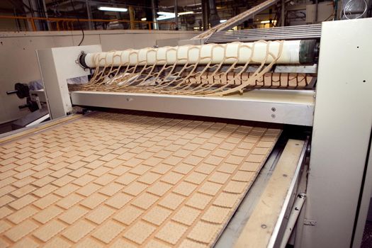 cookie making machine in the factory.