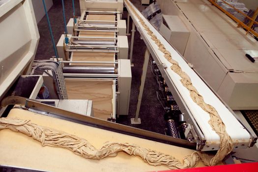 machine for making cookies in the factory. Conveyor belt with Cookie dough.
