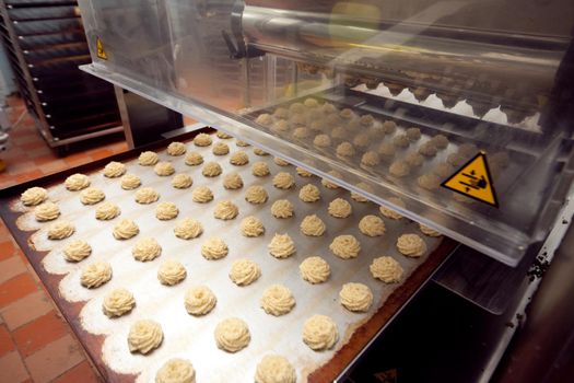 A tray of ready-made cookies is taken from the conveyor belt in the bakery.