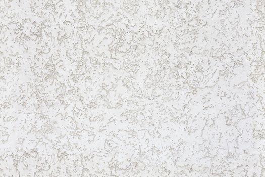 seamless texture and full frame background of white bark beetle mineral plaster wall finish