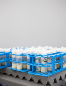 Close up of test tubes in the laboratory