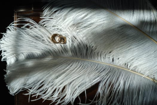 Two wedding rings lie in white feathers. The concept of love.