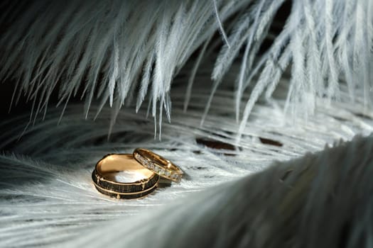 Two wedding rings lie in white feathers. The concept of love.