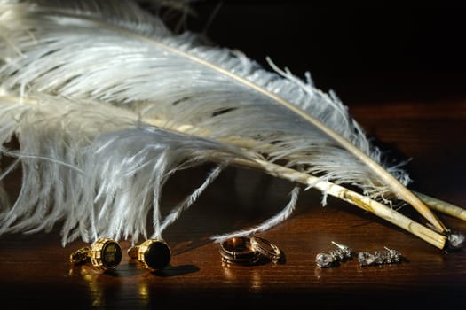 Two wedding rings lie in white feathers. The concept of love.