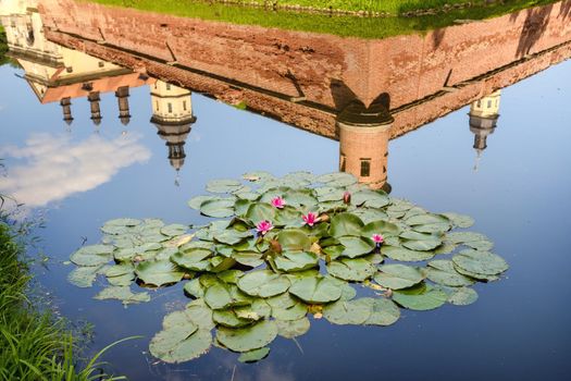 Water lily in a garden pond with a reflection of the tower of the Nesvizh castle.