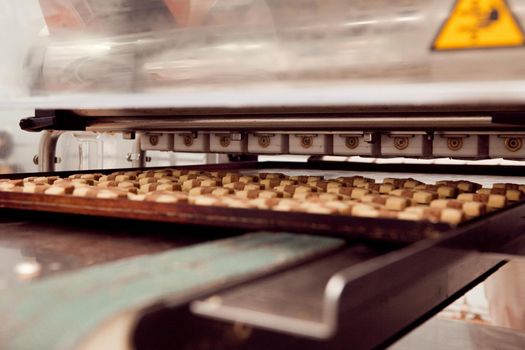 cookie making machine in the factory.