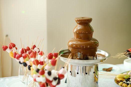 Fondue with a chocolate fountain and sweets for it.Sweet theme.
