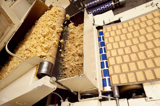cookie making machine in the factory.