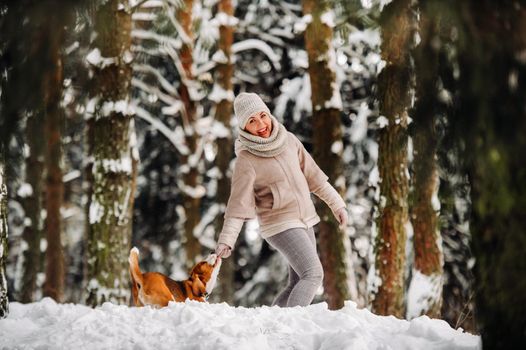 a woman on a winter day with her pet dog beagle in the winter forest playing.