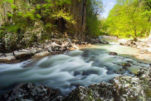 View of Timavo river in the spring season, Slovenia