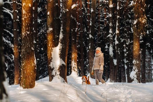 a woman on a winter day with her pet dog beagle in the winter forest playing.