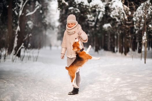 a woman on a winter day with her pet dog beagle in the winter forest playing.