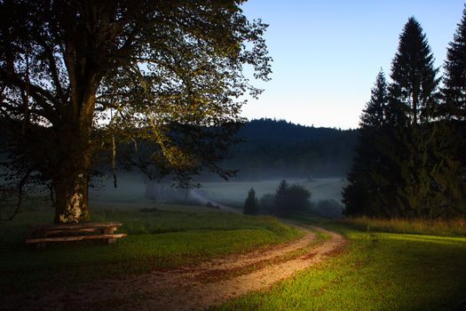 Sunrise with fog in the slovenian countryside