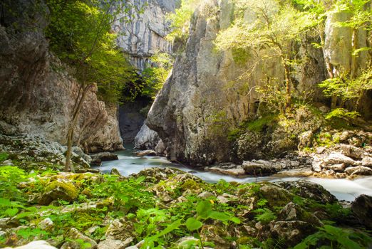 View of Timavo river in the spring season, Slovenia