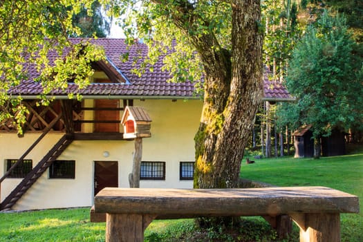 View of Birdhouse next to the tree