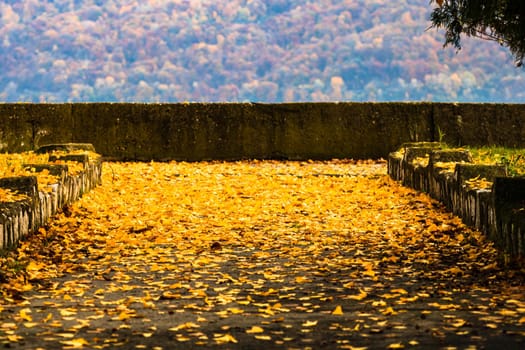 Beautiful autumn path on a sunny day. Autumn season with fallen leaves in autumn colorful park alley. Colorful trees and fallen leaves in autumn park. Beautiful autumn path on a sunny day.