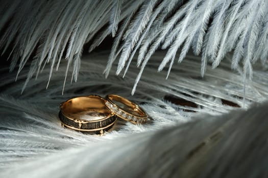 Two wedding rings lie in white feathers. The concept of love.