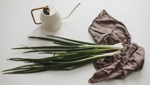 Gardening concept. fresh green onions and watering can on white background top view, flat lay. Healthy organic food