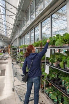 A young woman in a mask chooses and buys seedlings in a garden center with a large assortment of plants, a woman enjoys hobbies and leisure activities, growing plants and flowers in her garden