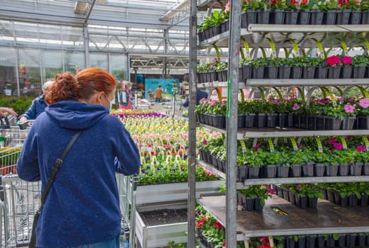 A young woman in a mask chooses and buys seedlings in a garden center with a large assortment of plants, a woman enjoys hobbies and leisure activities, growing plants and flowers in her garden