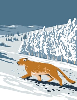  WPA poster art of a cougar, a large cat native to the Americas in Boulder, Colorado in winter viewed from side done in works project administration or federal art project style.

