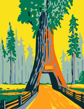 WPA poster art of the Chandelier Tree in Drive Thru Tree Park in Leggett, California located within Redwood National Park done in works project administration style.