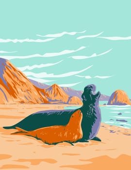 WPA poster art of Northern elephant seal Mirounga angustirostris, male and female at Point Reyes National Seashore on Point Reyes Peninsula in Marin County California in works project administration.