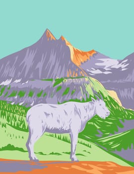 WPA poster art of a mountain goat or the Rocky Mountain goat at the Glacier National Park located in northwestern Montana United States of America done in works project administration.