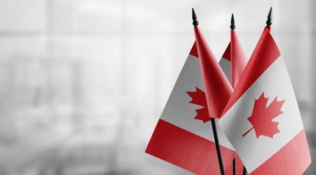 Small flags of the Canada on an abstract blurry background.