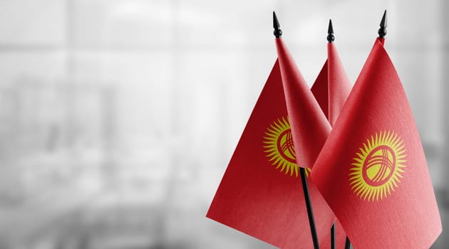 Small flags of the Kirghizia on an abstract blurry background.