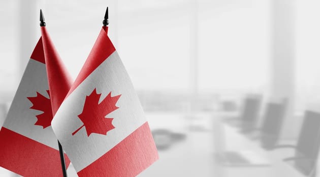 Small flags of the Canada on an abstract blurry background.