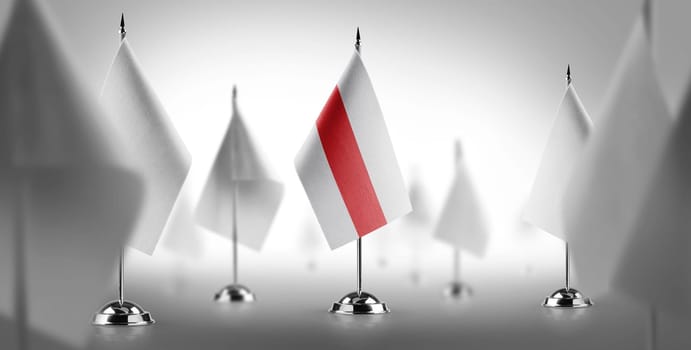 The national flag of the Belarus surrounded by white flags.