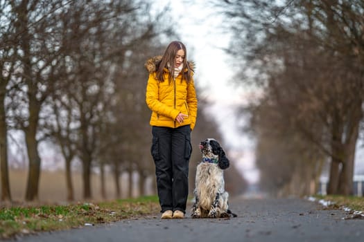 a walk with the dog in the park in nature. High quality photo