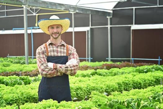 Portrait of caucasian man farmer standing with crossed arms in organic lettuce hydroponic greenhouse.