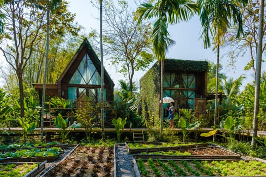 Community kitchen garden. Raised garden beds with plants in a vegetable community garden with wooden cottages on the background