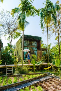 Asian women walk with umbrella at a wooden cottage surrounded by palm trees and a vegetable garden in the countryside. cabin in tropical rainforest