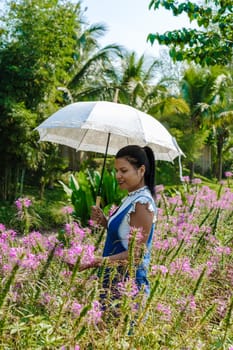 Asian women with an umbrella in a flower field in Thailand Khao Yai.