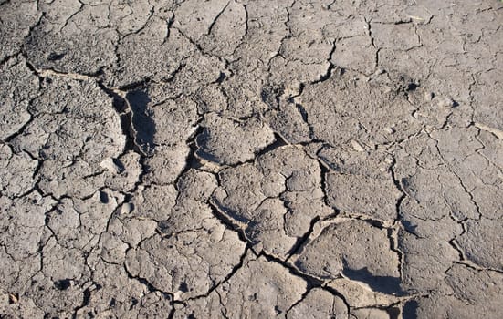 Background of dry cracked earth, parched earth, texture of earth dirt, desert, global warming, climate change.